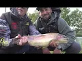 TROUT AREA AT FULL BLAST! How to deal with strong winds and giant trout with the 2027 new releases