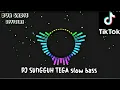 DJ sungguh tega slow bass