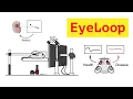 Eye-tracker for neuroscience - written in Python