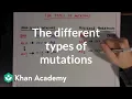 The different types of mutations Biomolecules MCAT Khan Academy