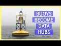 Not Your Average Buoy Why These Data Hubs Are Being Placed in Canadian Waters