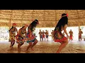 Download Lagu Lets Make The Earth Wild Again - Sustainable Travel Video. Film By Urvesh Bhatt