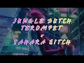 Download Lagu DJ TEROMPET X SAHARA BITCH JUNGLE DUTCH VIRAL