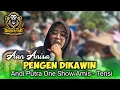 Download Lagu PENGEN DIKAWIN - AAN ANISA | ANDI PUTRA 1 | Show Amis