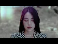 信 Shin【 煉金術 Alchemy】Official Music Video