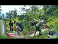 Download Lagu After 2 years back to the wooden house in the forest: Off grid, Plant trees, raise ducks, improve
