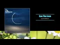 The Brilliance - See The Love - with lyrics