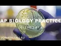 AP Biology Practice 2013 FRQ 1-4