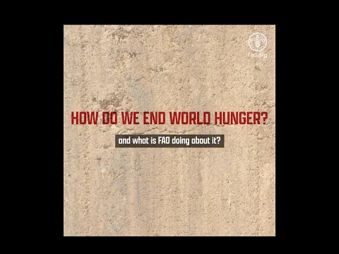 FAO Explainer