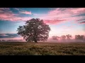 Mimmi Bangoura - Real Life