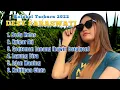 Download Lagu Koleksi Desy Paraswati Terbaru 2022 || Beda Kelas