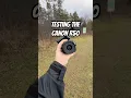 I love the Canon R50