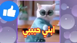 ابني حبيبي ونور عينيا ابني ابني اغنية لابني اغنيه ابني السعودية الامارات الجزائر المغرب 