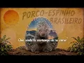 𝗤𝗨𝗘𝗠 𝗔𝗠𝗢𝗨 𝗠𝗔𝗡𝗗𝗢𝗨 𝗗𝗜𝗭𝗘𝗥 - Prettos & Magnu Sousá & Maurilio de Oliveira || Letra