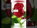 انا ابيع الدنيا 🎼🎼بوسي🎼🎼