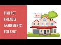 Find Pet-Friendly Apartments For Rent - The Samurai Way