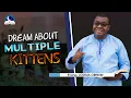 Dreams About Multiple Kittens - Biblical and Spiritual Meaning