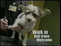 Barks N Bubbles Pet Salon Winnipeg commercial 2010