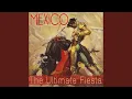 Download Lagu Viegos Amigos