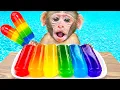 KIKI Monkey BOUGHT Every Rainbow Jelly and Swimming in Pool with His Duck Friend | KUDO ANIMAL KIKI
