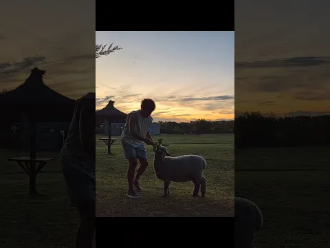 Mi nuevo Mejor Amigo ♥️