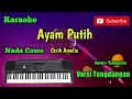 Lagu Ayam Putih ( Cicih Amelia ) Karoke Nada Cowo Musik Sandiwaraan Cover