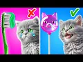 Lagu I Saved a Cat From Dental Caries|Best Crafts and Fidgets for Your Fluffy Friend by Meow-some! Live