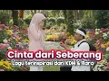 Lagu Cinta dari Negeri Seberang | Lagu Cinta KDM \u0026 Rara (Young Syefura) dari Malaysia | Pop Melayu Minang