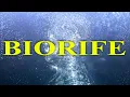Lagu VITALITY QUANTUM PORTAL I Biorife® ENERGY FREQUENCIES