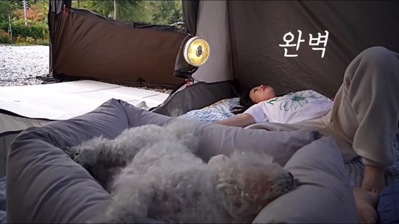 평화로운 하루를 보낼 수 있음에 감사 | 솔로캠핑 | 반려견 동반 | 아이두젠 A10 max | 전북 정읍 자두마을캠핑장 썸네일