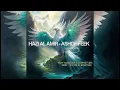 Download Lagu Ghazi Al Amir - Ashof Feek Yom Vandelor \u0026 Schmidt (BR) - Sirin (TIMITH SL BOOTING )