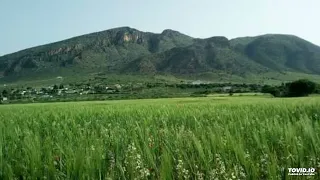 حبيبي عزل و نساني 