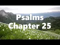 The Book of Psalms Chapter 25 - New King James Version NKJV