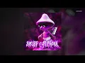 HISTED, TXVSTERPLAYA - SMURF CAT PHONK (SLOWED + REVERB)