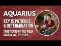 Aquarius Key Is Patience Determination Tarot Card Of The Week Aug 16 - 22 2026