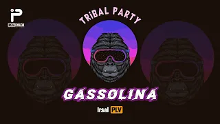 tribal party gassolina remix 2024 irsal palevi 