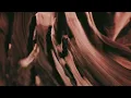 Simon Goff & Dobrawa Czocher - Appearing