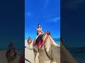 Download Lagu Tempat Wisata Viral di Bali • Wisata Dekat Bandara Kuta Seminyak Jimbaran Nusa Dua • Naik Unta Bali