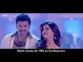Selfie Pulla - Video Song | Kaththi | Vijay | Samantha | Anirudh Ravichander | A. R. Murugadoss