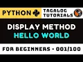 Python Hello World Display Explained How Output Printing Works