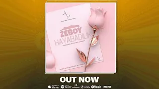zeboy hayabadiliki official music audio 