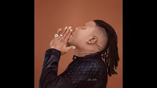 stonebwoy ololo ft teni official video out now