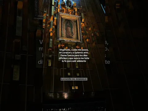 Oración de la Mañana a la Virgen de Guadalupe para Fuerza y Fe  #elevacióndelevangelio
