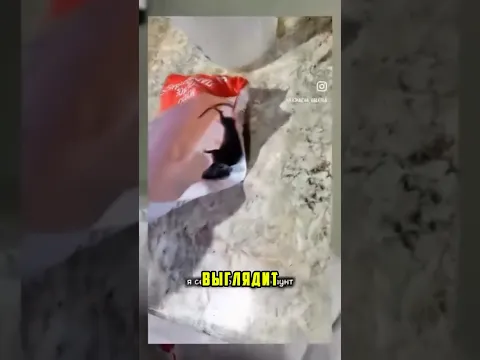 ЭПИДЕМИЯ МОЛОКА СРОЧНО ОНИ ВЗЯЛИСЬ ЗА МОЛОКО