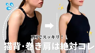 1回でスッキリ変わる猫背巻き肩ストレッチ🔥