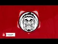 Mike Cervello & Laidback Luke - Front 2 The Back (Junkie Kid Remix)