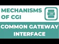 Mechanisms of Common Gateway Interface CGI Complete Course
