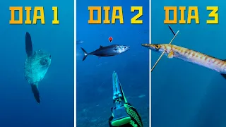 3 Días Pescando como Dave the Diver