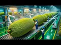 Download Lagu The Secret Behind Turning Fresh Jackfruit into Addictively Crispy Chips | Factory process MP3