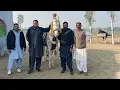 Download Lagu Ustad malik jewaan hayat aqaidmi